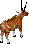 Gazelle9.gif